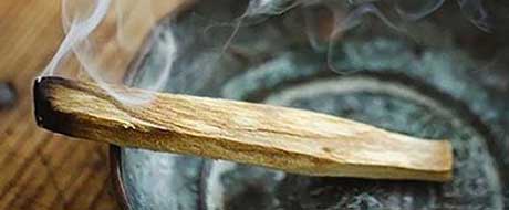 Palo Santo sau lemn sacru - stick